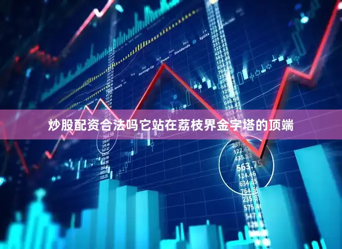 炒股配资合法吗它站在荔枝界金字塔的顶端