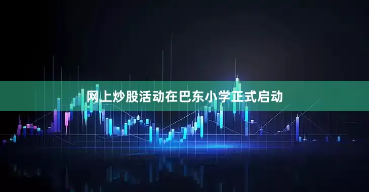 网上炒股活动在巴东小学正式启动