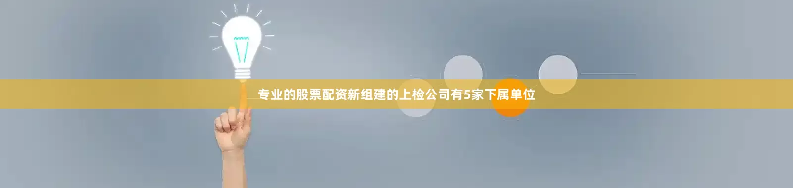 专业的股票配资　　新组建的上检公司有5家下属单位