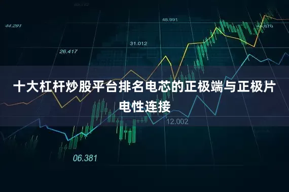 十大杠杆炒股平台排名电芯的正极端与正极片电性连接