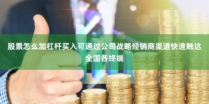 股票怎么加杠杆买入可通过公司战略经销商渠道快速触达全国各终端