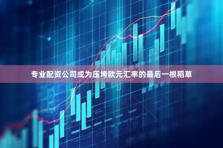 专业配资公司成为压垮欧元汇率的最后一根稻草