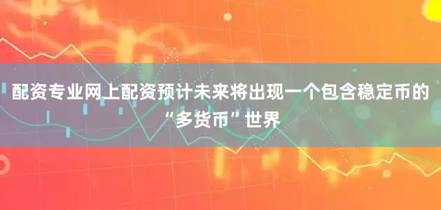 配资专业网上配资预计未来将出现一个包含稳定币的“多货币”世界